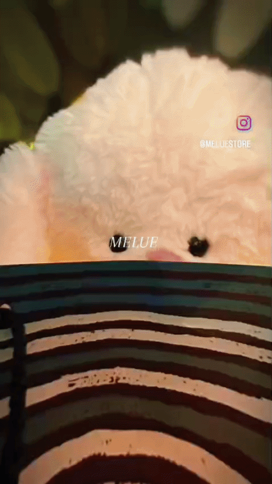 Melue Uyku Arkadaşı Lili Beyaz(Tavşan)