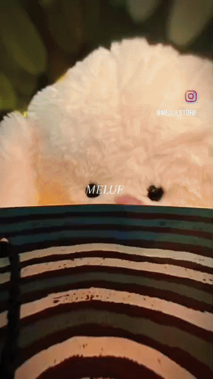 Melue Uyku Arkadaşı Lili Beyaz(Tavşan)