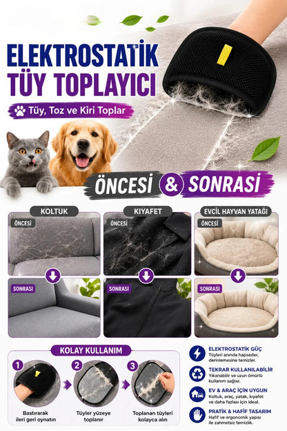 Melue Pets