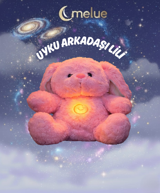 Melue Uyku Arkadaşı Lili Pembe (Tavşan)