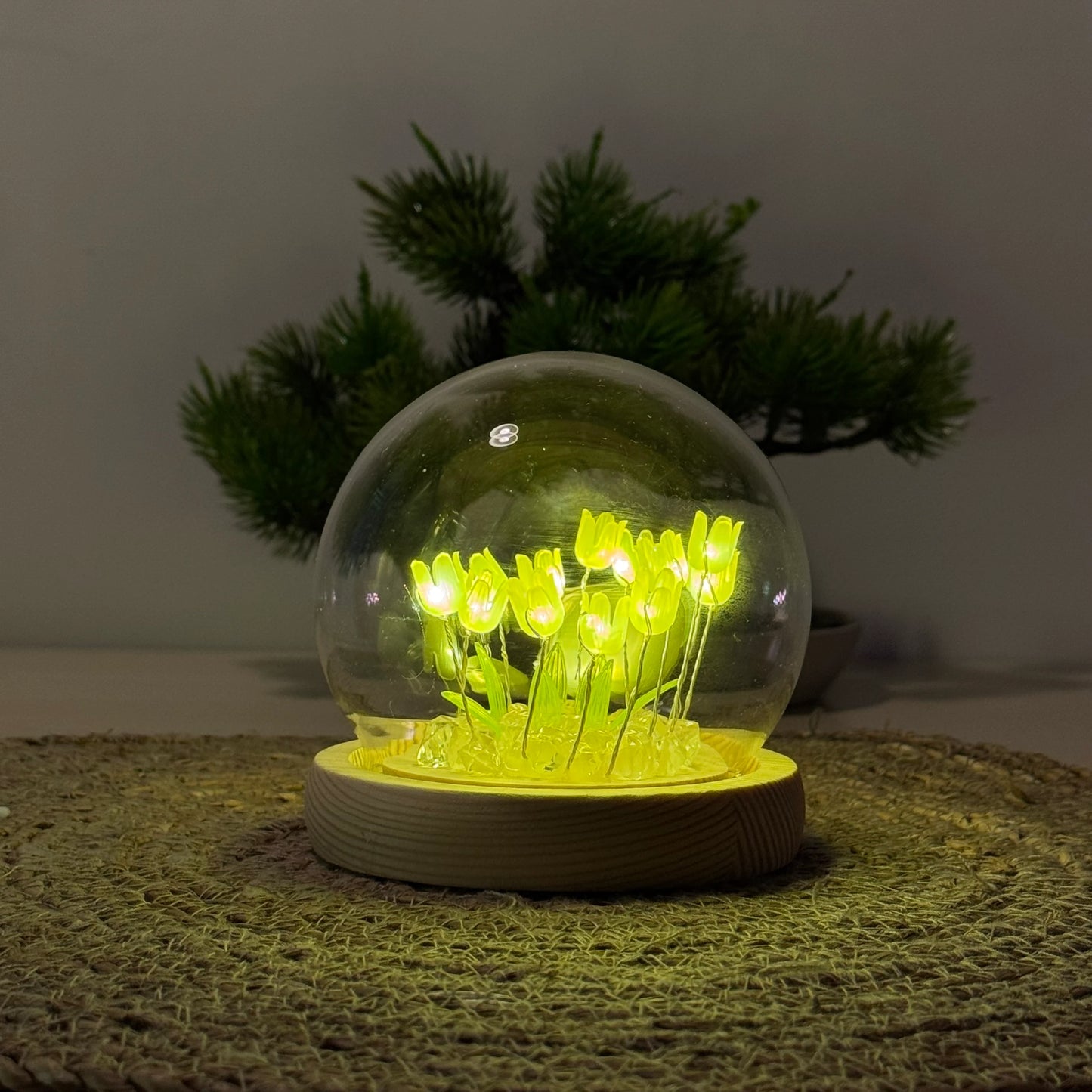 🌷LED Işıklı Laleli Cam Fanus